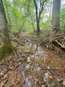 820 Lucas Rd LOT 1, Dickson, TN, 37055