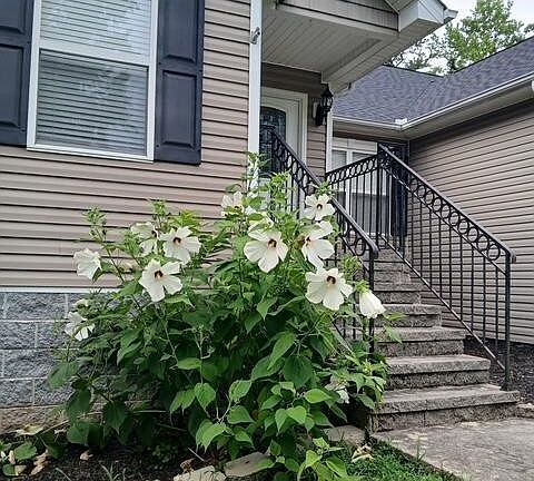 2nd image of 199 Lakeside Dr