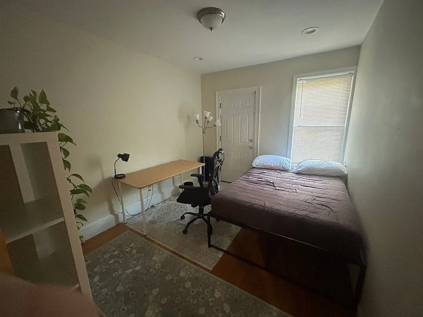4 bed, 1100 sqft, $5,100 — Photo 2