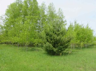 4337 N Ayr Rd, Alanson, MI 49706