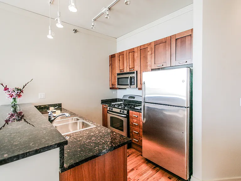170 W Polk St #802 — Photo 3