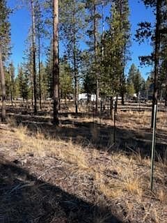 4th image of Pinewood Pl #22