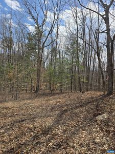 LOT-41B Ed Jones Rd, Scottsville, VA, 24590