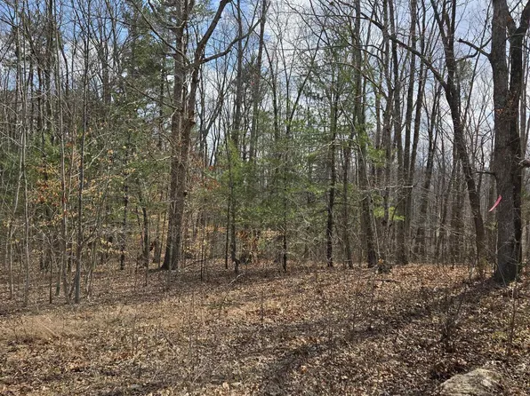 LOT-41B Ed Jones Rd, Scottsville, VA 24590