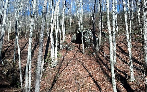 4th image of 151 Mountain Heritage Dr