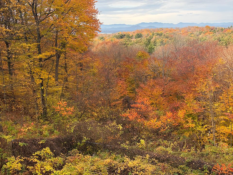 1st image of 4016 Mount Philo Rd