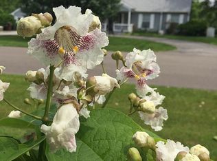 707 Maple Ridge Rd, Milford, OH 45150