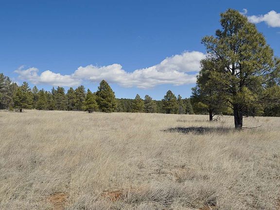 5th image of 48 Nm Hwy 266