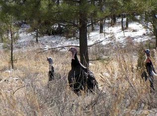 22 Harper Coulee Rd, Roundup, MT 59072