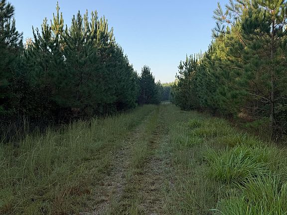 2nd image of 0 Lower Harmony Rd #0