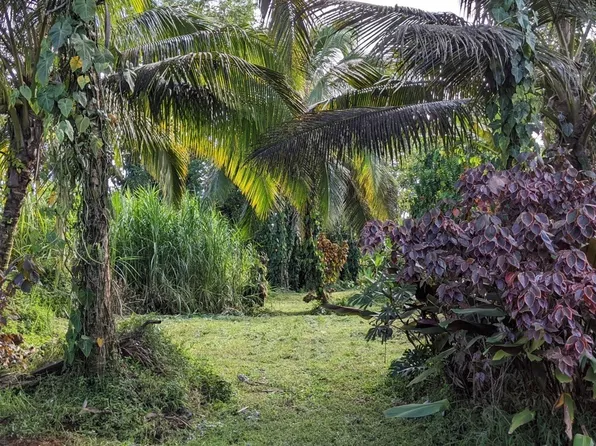 15-2764 S Kumu St #648, Pahoa, HI 96778