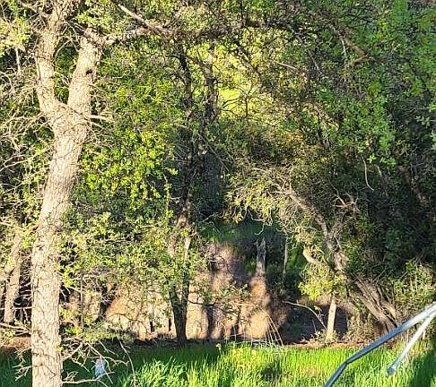 4th image of 10470 Chicharra Ct