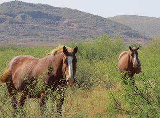 Off Hwy #191, Pearce, AZ 85625