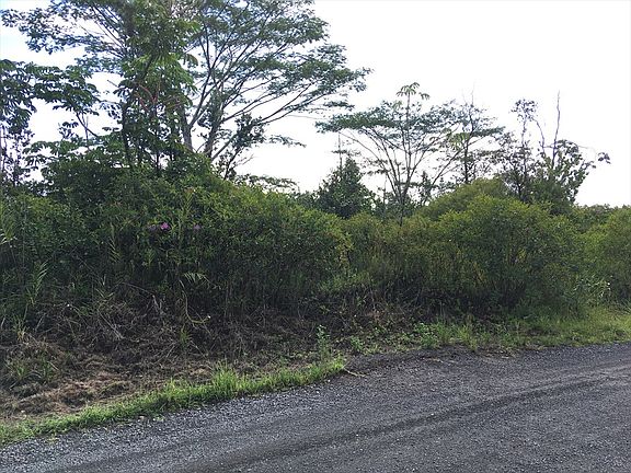 5th image of 10th Ave Lot 1664