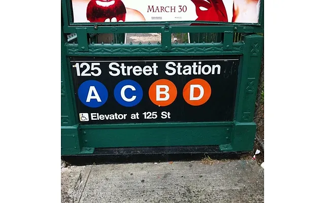 Rented by Douglas Elliman | media 19