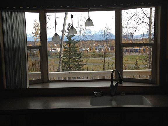 View of the kitchen window view and sink.