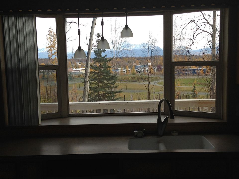 View of the kitchen window view and sink.