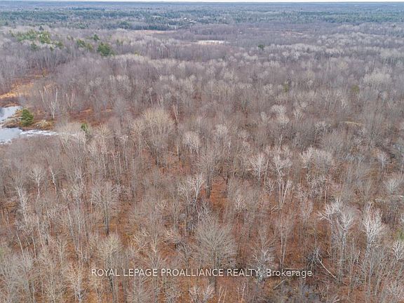 5th image of 1446 Flinton Rd