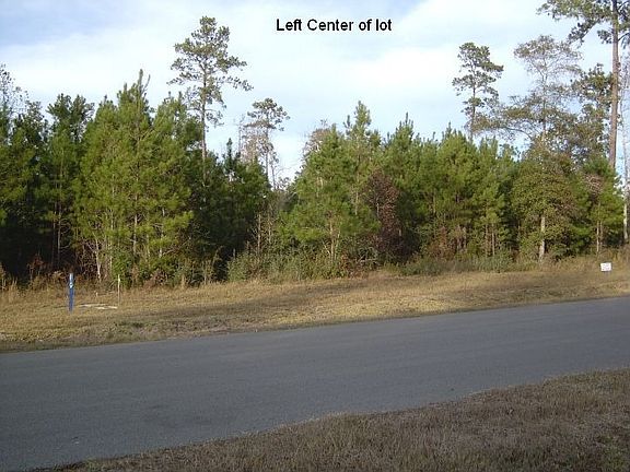 3rd image of 15508 Victorias Way Dr