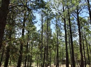 3146 W Rim Rd, Lakeside, AZ 85929