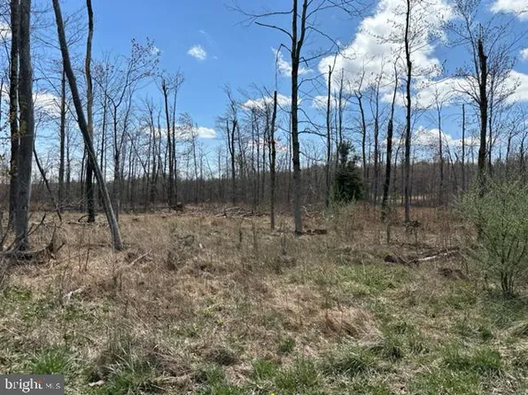 Cherry Ridge Rd Lot 2, Mount Storm, WV 26739