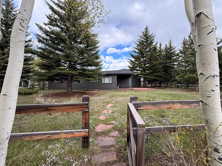 1347 Rainbow Dr — Photo 28