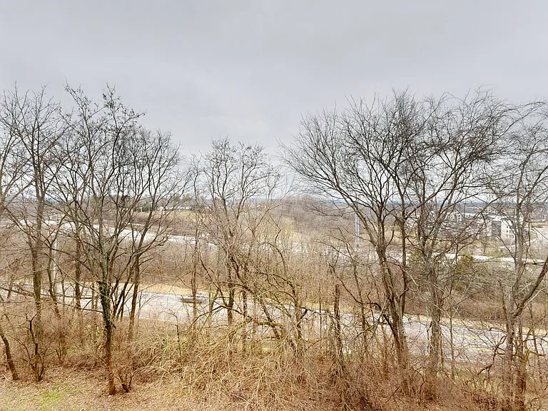 Carrington Hills — Photo 47