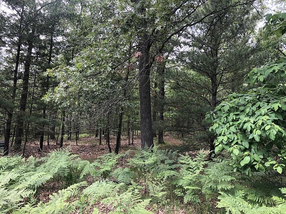 2nd image of Vl Holton Whitehall Road Acres #10.10