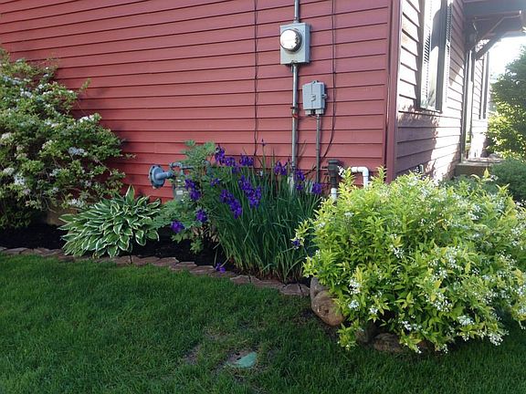 Side yard