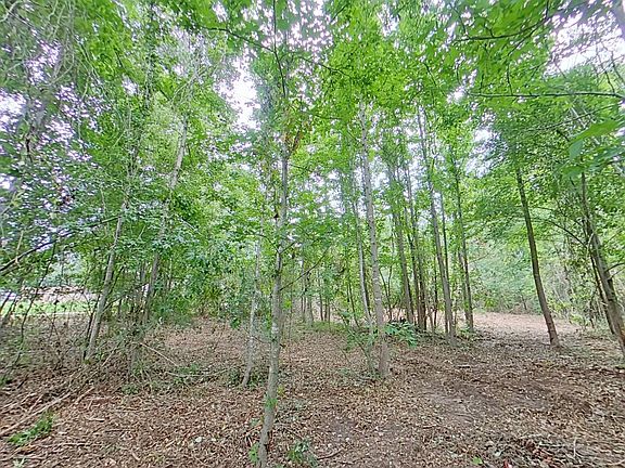 4th image of 0 Treebark Dr