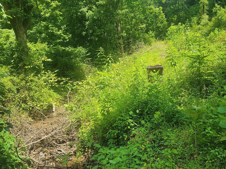 672 Buffalo Rd, Meally, KY 41234 Zillow