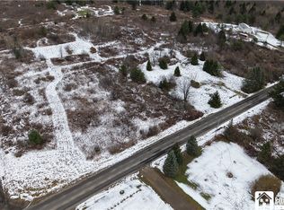 522 Bush Hill Rd #10, Franklinville, NY 14737