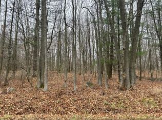 0 Chapman Rd, Stockbridge, MI 49285