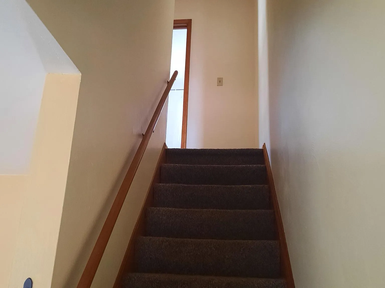 2 bed, 970 sqft, $1,000 — Photo 3