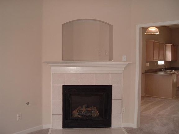 Family FP/Gas Logs/TV Niche