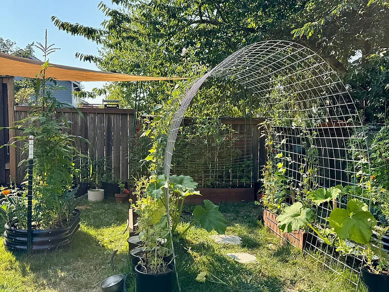 Raised Bed Garden in Bloom