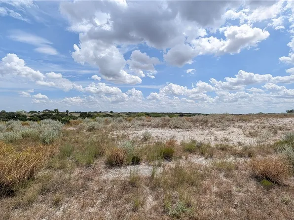 County Road 3651 County Road 3651, Sandia, TX 78383