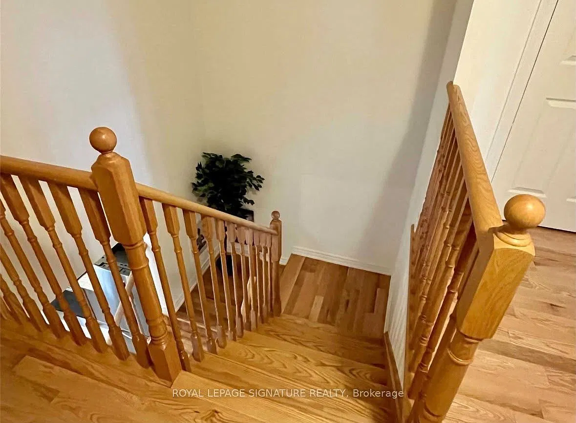 3 bed, $3,300 — Photo 4