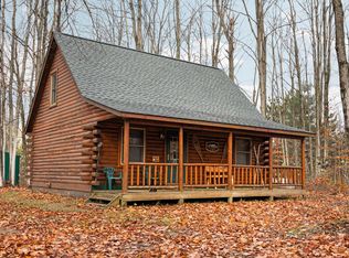 4232 Snow Ridge Rd, Elmira, MI 49730