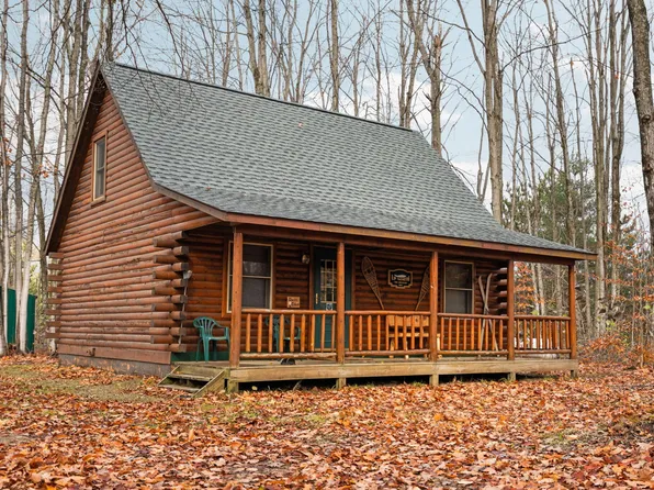 4232 Snow Ridge Rd, Elmira, MI 49730