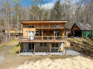 857 Mountain Rivers Ln, Mineral Bluff, GA 30559