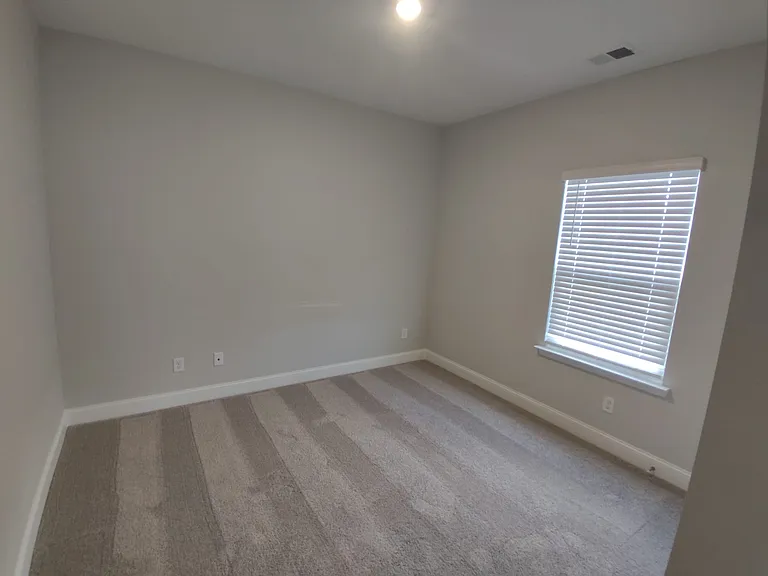 1137 Crisp Spring Dr — Photo 21