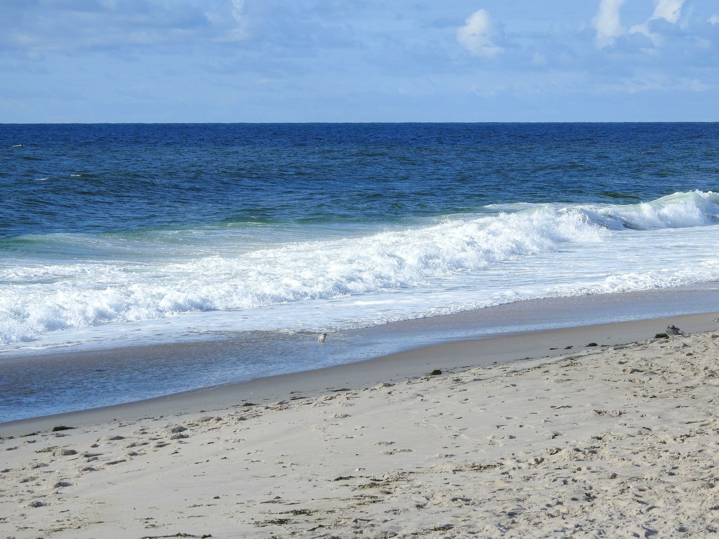  ocean beach