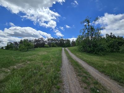 Finnegan Rd, Johannesburg, MI, 49751