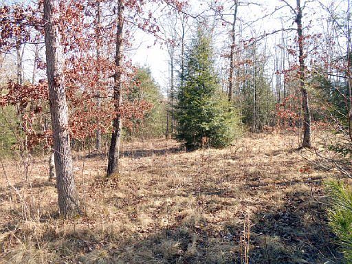 5th image of Ridge Top Dr
