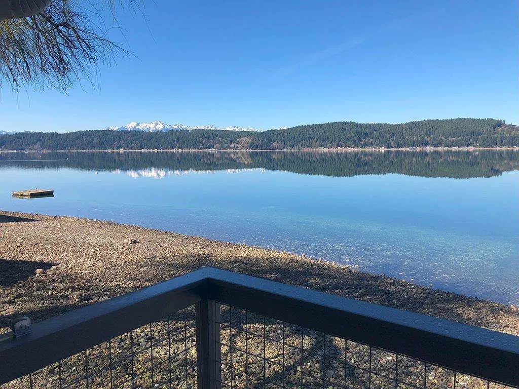 1 bed, 466 sqft, $1,800 — Photo 2