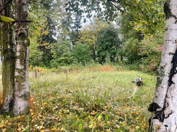 2397 Waldron Dr, Anchorage, AK 99507