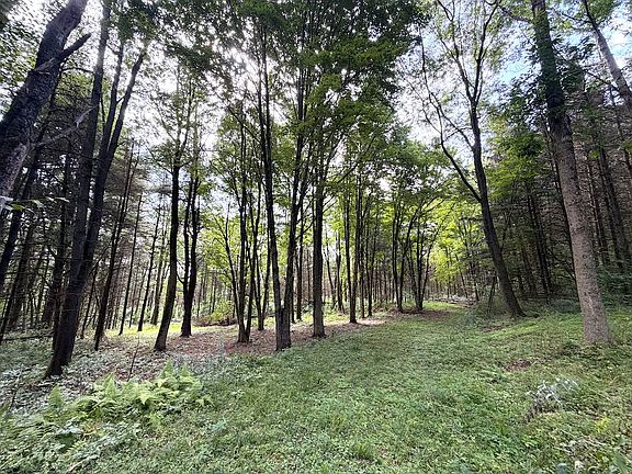 5th image of Dutton Loop Lot Wp002