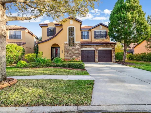 20323 Chestnut Grove Dr, Tampa, FL 33647