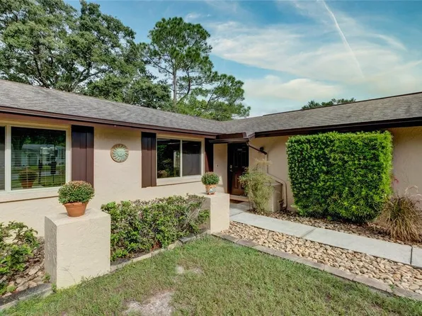 1301 Foggy Ridge Pkwy, Lutz, FL 33559